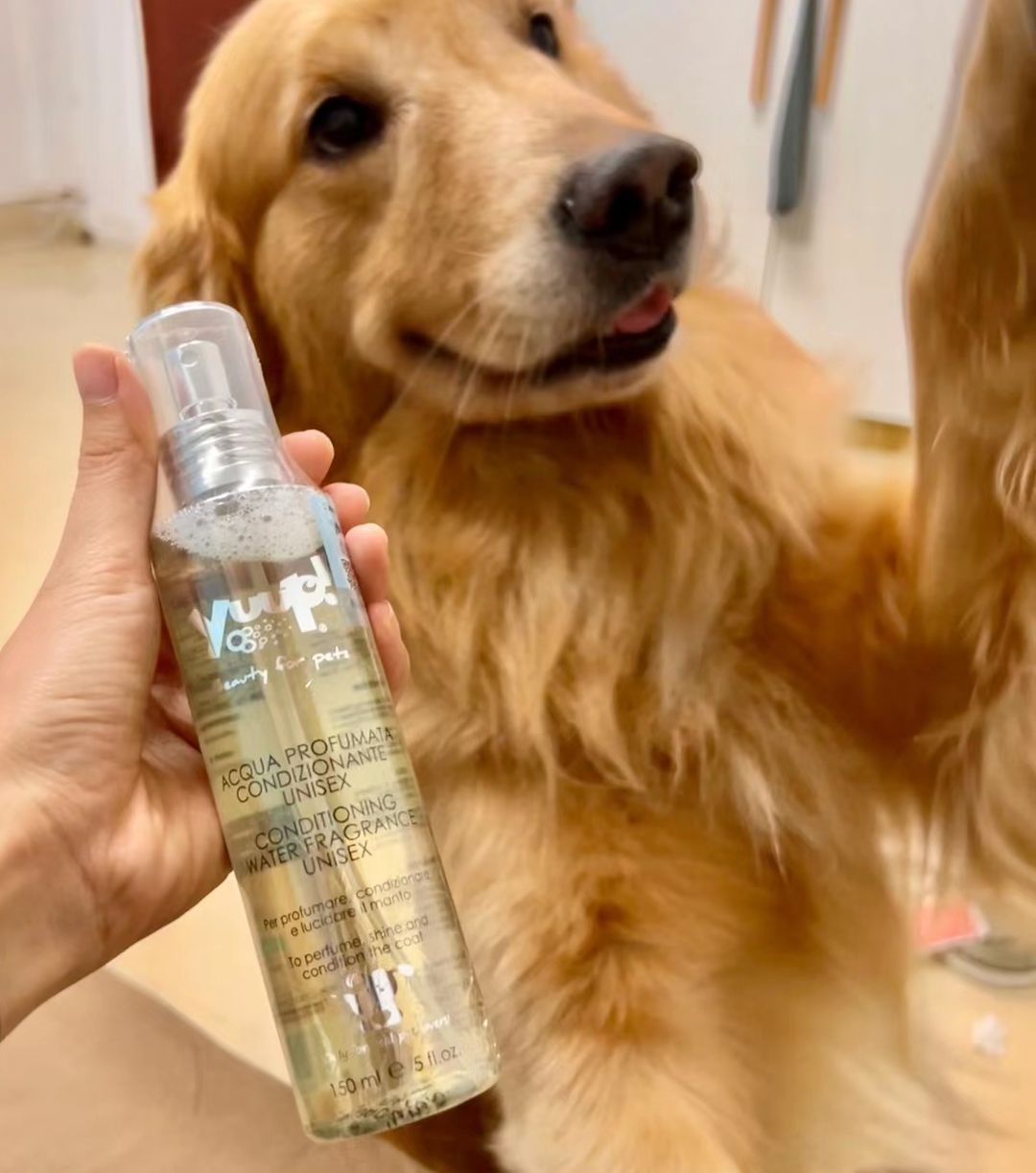 Does Dog Perfume Really Work
